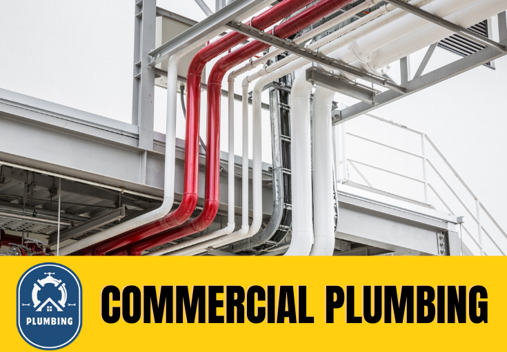 commercial plumbing Hempstead