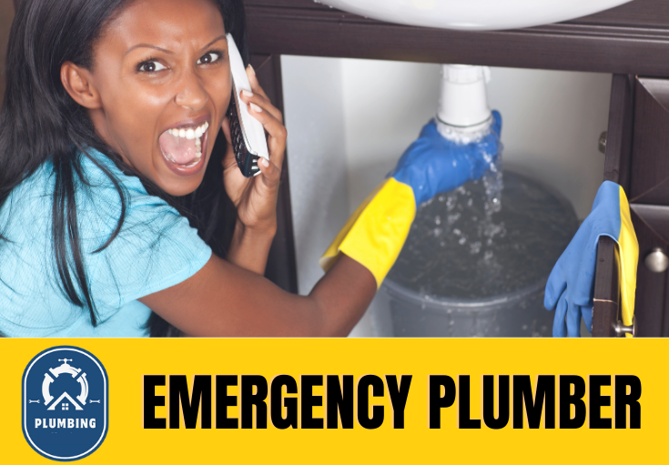 emergency plumber Hempstead