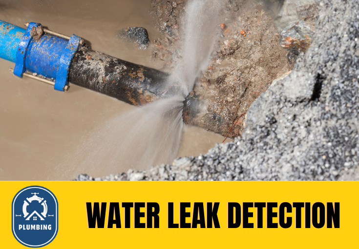 leak detection Hempstead